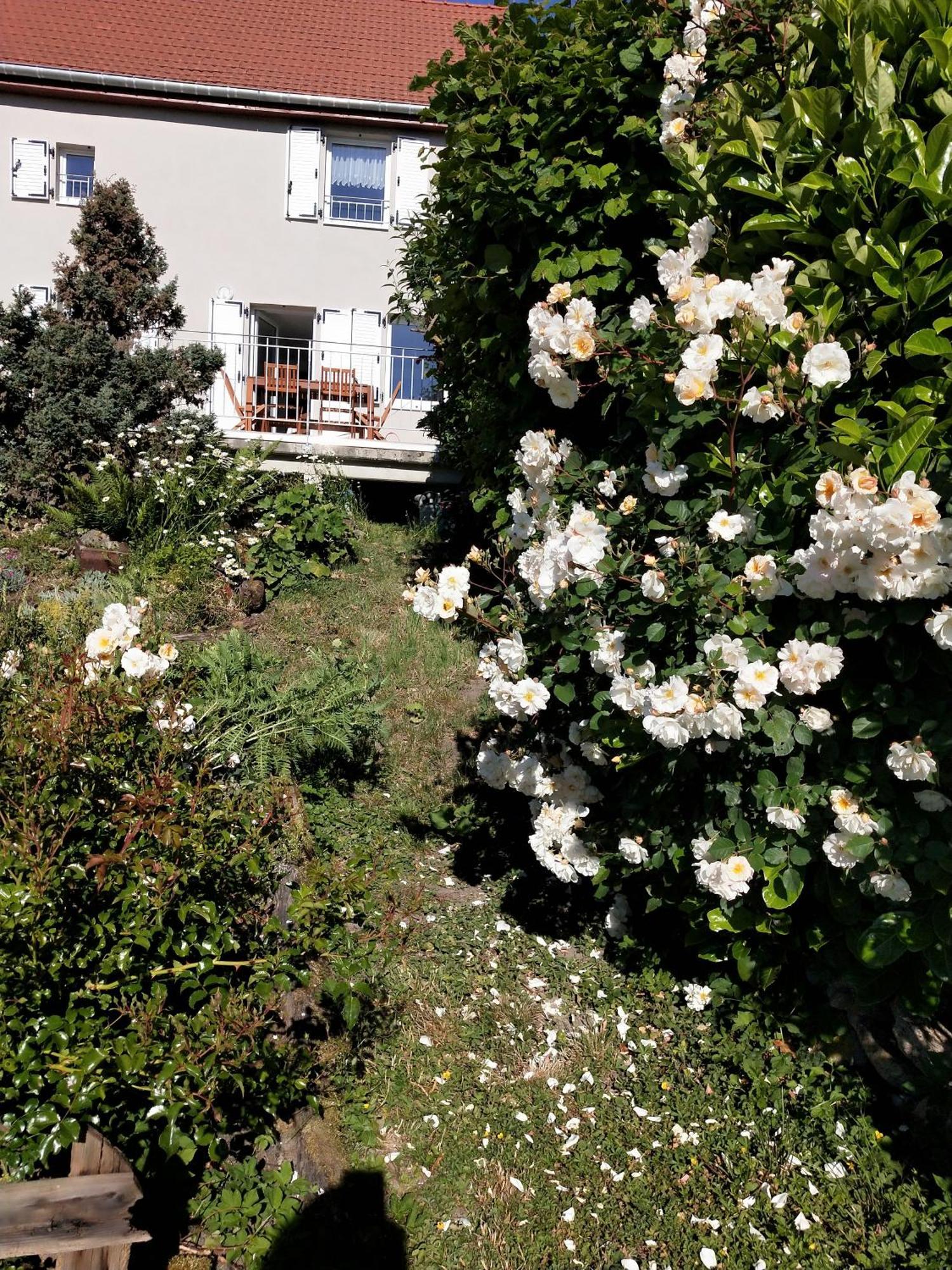 Gite Les Papillons Bining Exterior foto